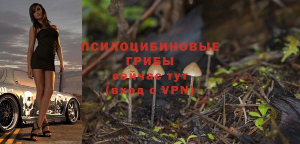 марки nbome Белокуриха
