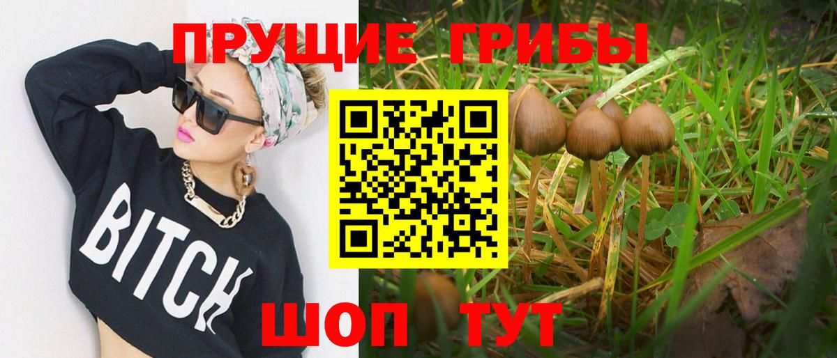 Псилоцибиновые грибы мухоморы  Вход с VPN  Верхний Уфалей 
